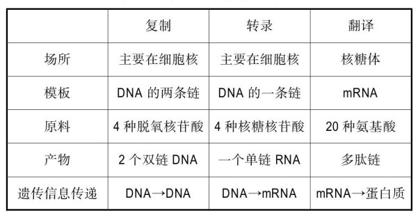談在教學中養成概念辨析的幾種方式