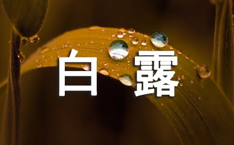 Pڰ¶ΨӺ̣x210䣩