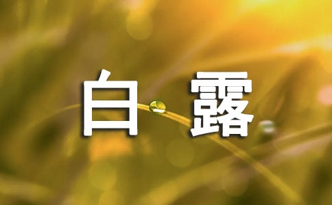 ¶Z(y)䛼15ƪ