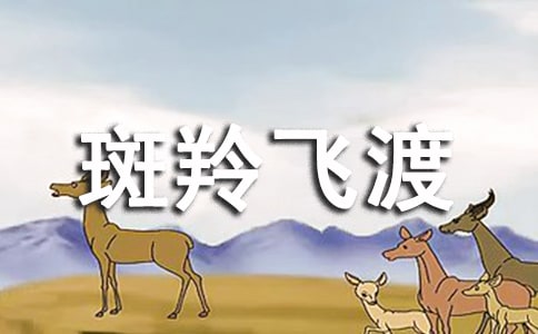 wɡ 20