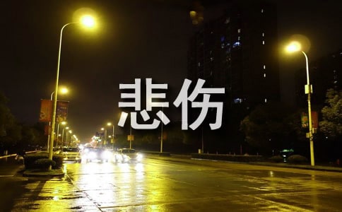 2024꺆εıZ䛴R90l