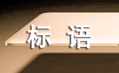 MZ