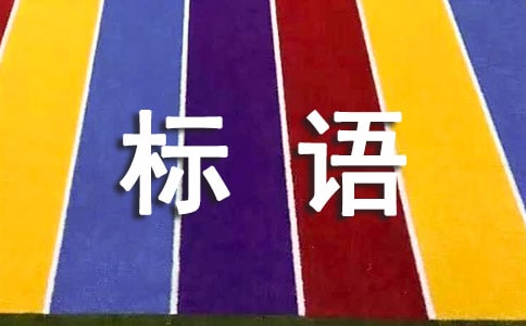2022Zx210䣩