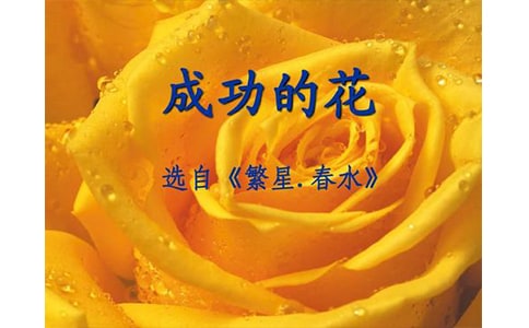 ԊɹĻ