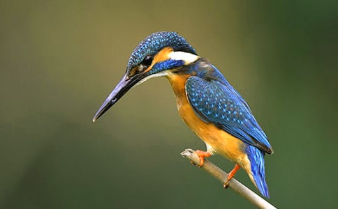 ZĽ̰B