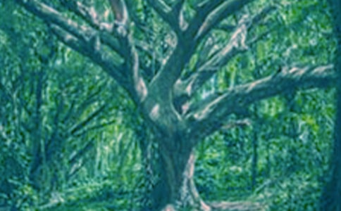 ġ