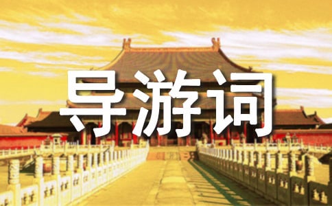 СW꼉~