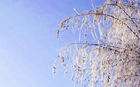 ϵĶ졷 OӋ8