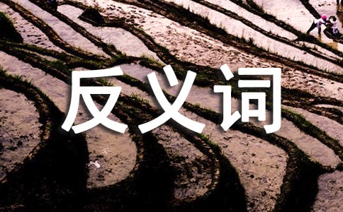 зx~ľ