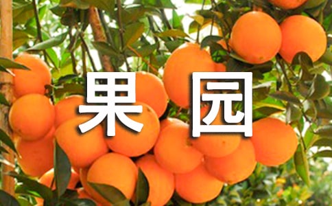 Сi@Сg̰2ƪ
