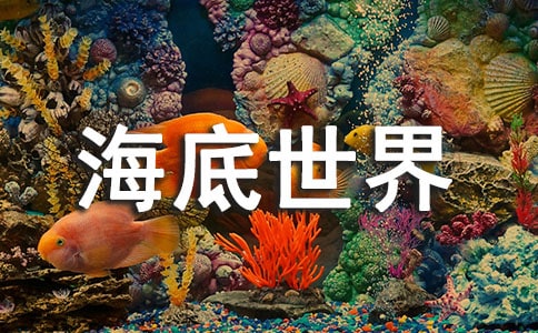 СW꼉Zġ硷̰10ƪ