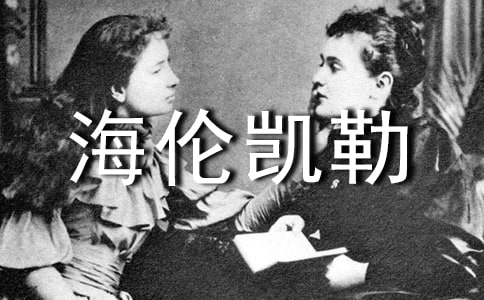 Ҿ庣P