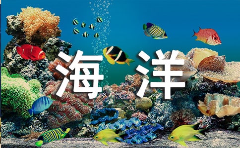 嫵Ǻ󡷵Ľ̰
