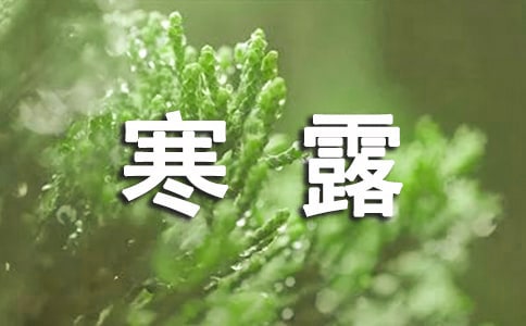 ¶Z
