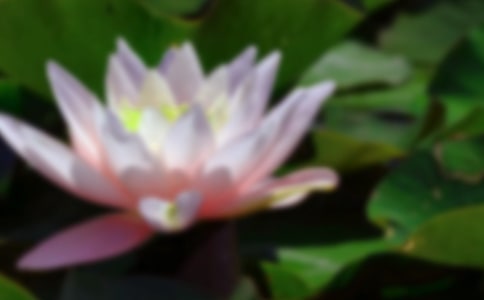 Сg̰ۼtɫĺɻ̰̌W˼