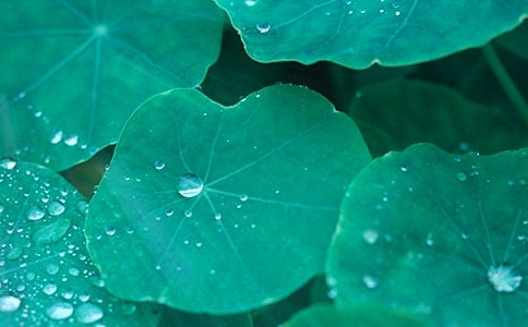 n̡~AǍWOӋͨ10ƪ