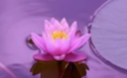 ԳֿƌWlչOCͨR