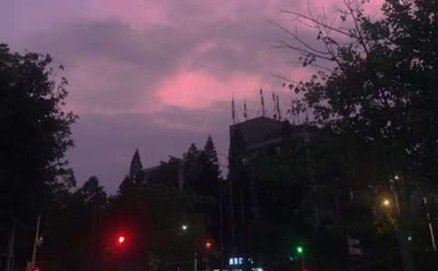 ݺҹľ
