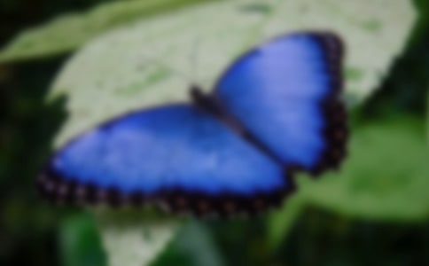 g̰ͨ15ƪ