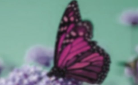 аgֹ˺N̰