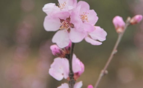 Ļg̰