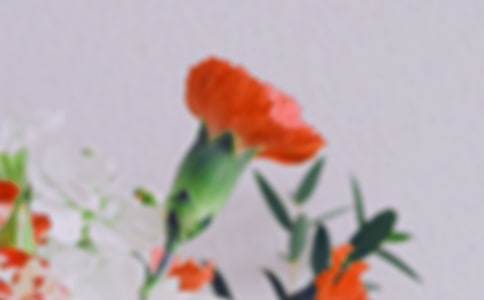 gĻ̰