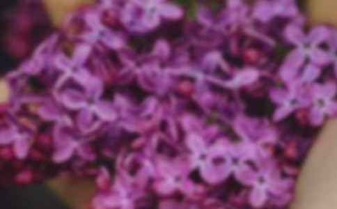 gĻ̰