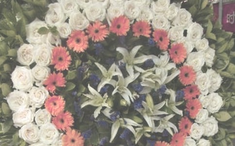 샞