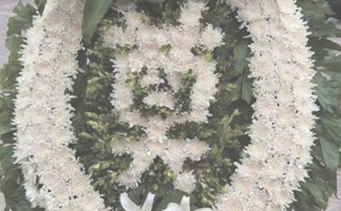 H˵ľ