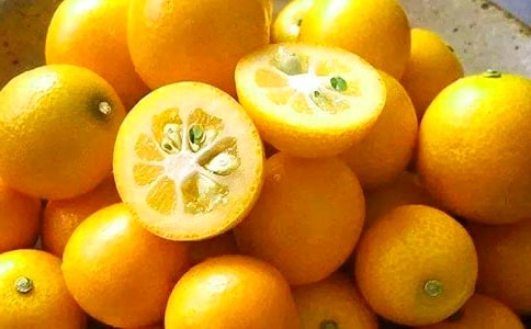 ۘăģͨ6ƪ