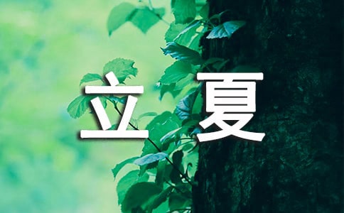 Ŀ옷ľӣx30䣩