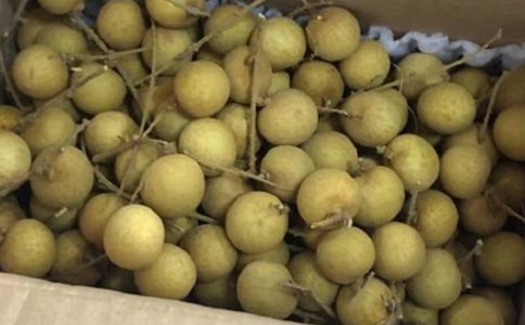 茑ۘă
