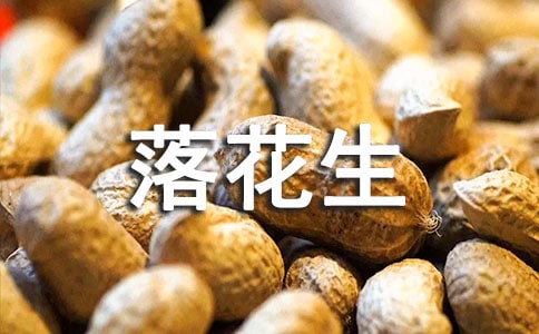 СWZ仨̰