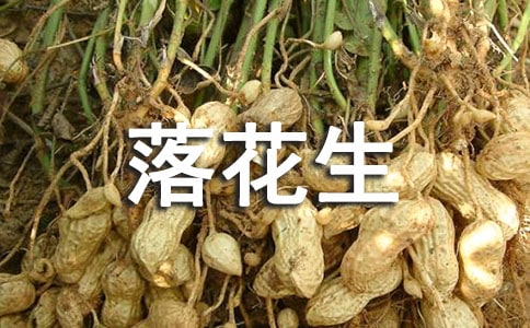 Z 仨