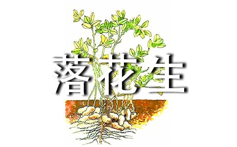 ]꼉σZġ仨̰15ƪ