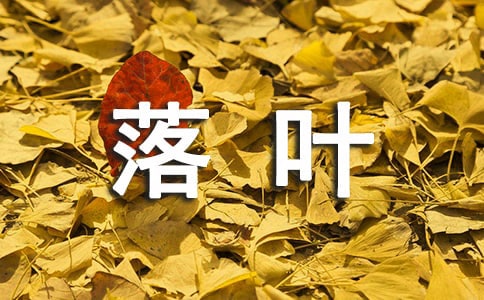 ~֪