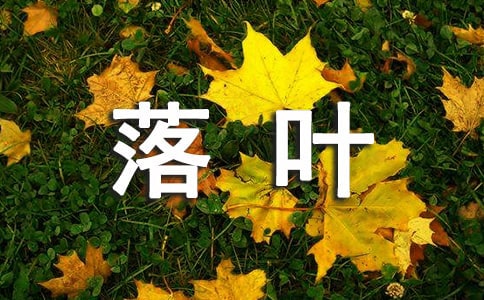 ~ľ23