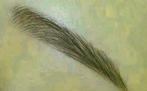 茑üëľ
