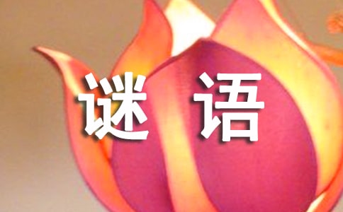 |XiZ