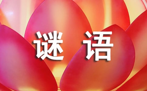 iZ15ƪ؂䣩