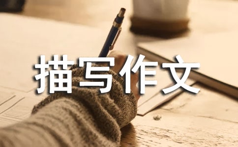 СW(xu)꼉茑