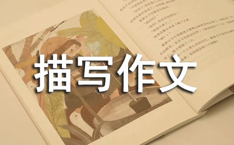 Ϫ茑