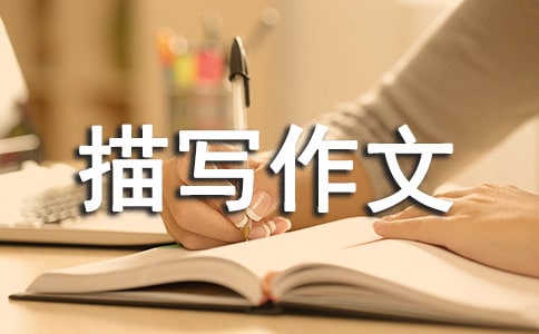 (ji)茑