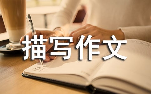 P(gun)ڳ茑(xi)ĺϼ7ƪ