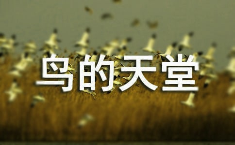 Bá꼉ZĽ̰