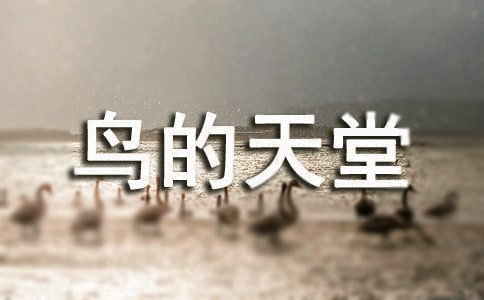 BáZĽ̰ͨ15ƪ