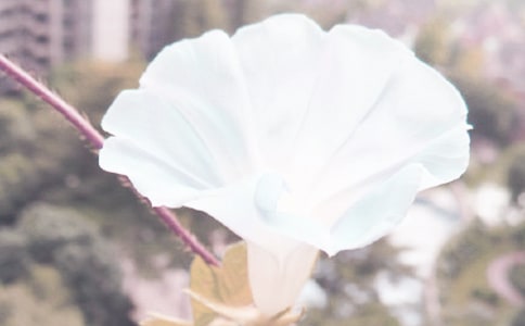 ţ(ϼ15ƪ)