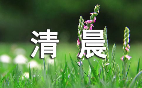 峿15ƪ