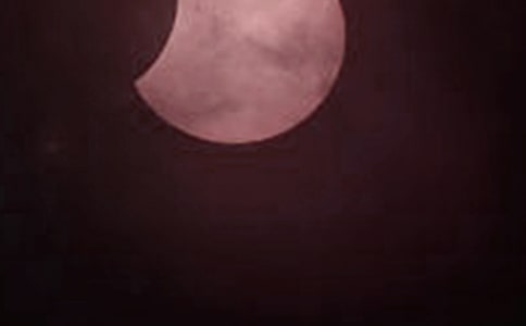 ʳ8ƪ(T)