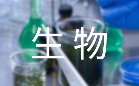 T꼉̰ƪ